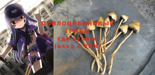скорость Покачи