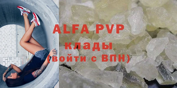 прущие грибы Чистополь
