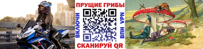 Галлюциногенные грибы мухоморы  Спас-Деменск 